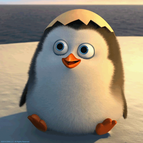 Hallo